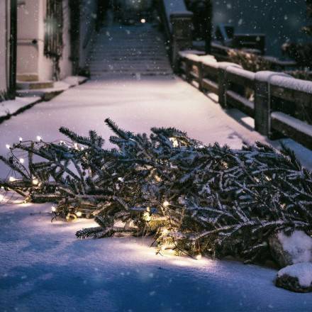 sapin de noël sur le trottoir