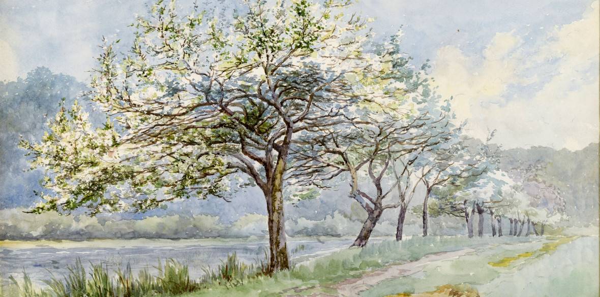 William Thornley ou l'amour des arbres