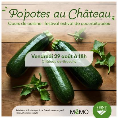 Po'potes au château