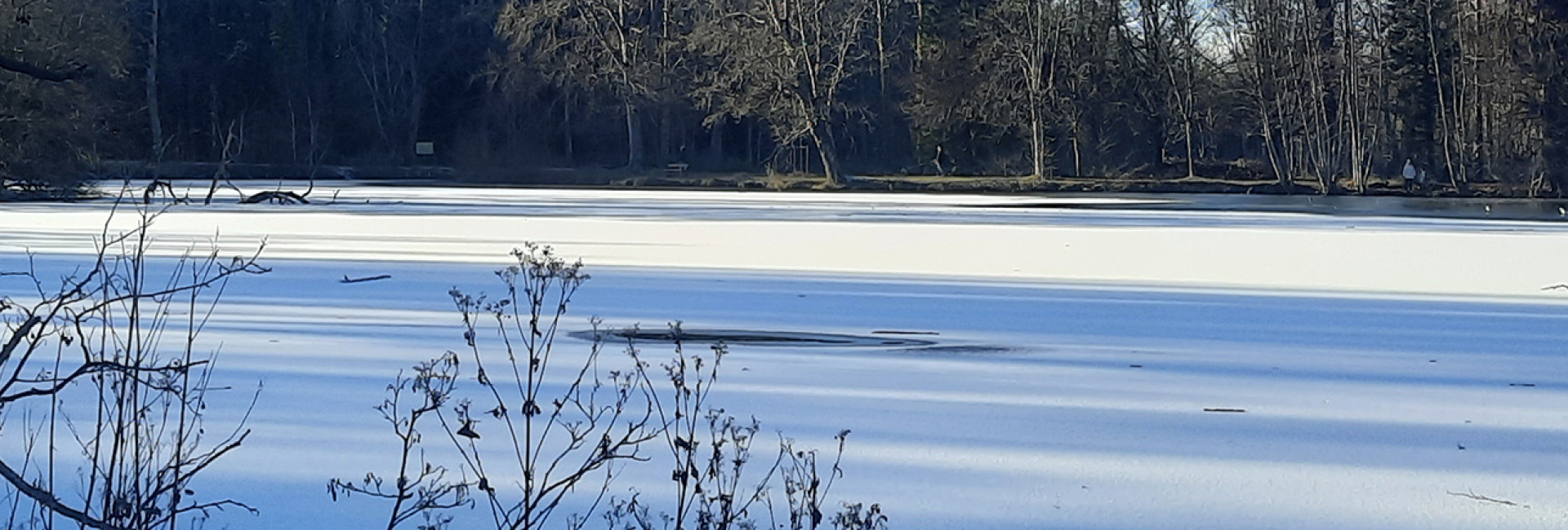 Carrousel parc neige 3