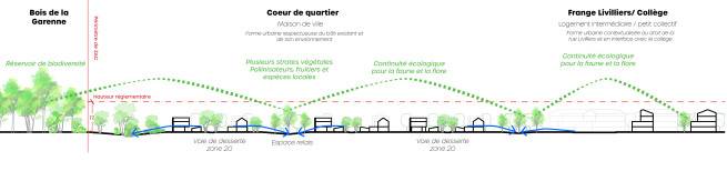 Profil en travers AA sur le secteur Génicourt