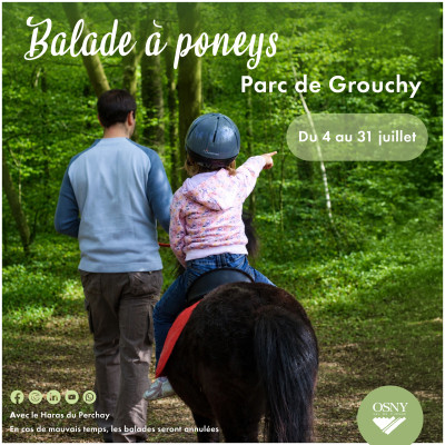Balades à poney