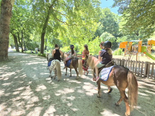 Balades à poney