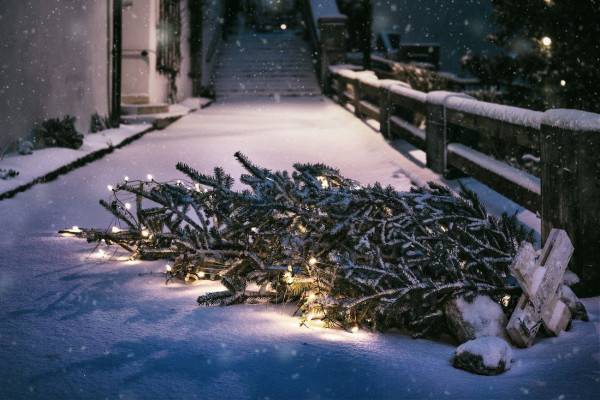 sapin de noël sur le trottoir