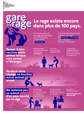 infographie_rage_2026.png