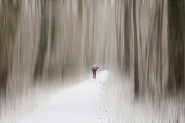 Sous la neige à Grouchy de Jean-Pierre Le Lézec (Osny)