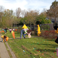 Chasse aux oeufs 2026 