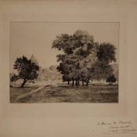 William Thornley ou l'amour des arbres