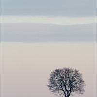 Contemplation, de Sylvie Boché (Livilliers 95)