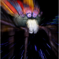 L'araignée de Catherine Delaporte (Paris)