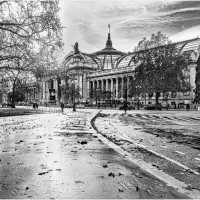 Le Grand Palais, de Étienne Guerrero (Paris)