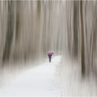 Sous la neige à Grouchy de Jean-Pierre Le Lézec (Osny)