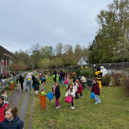 Chasse aux oeufs 2026 