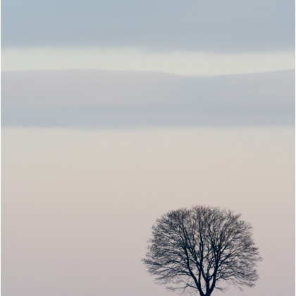 Contemplation, de Sylvie Boché (Livilliers 95)
