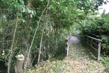 Chemin de la Viosne