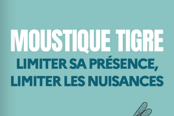 Moustique tigre