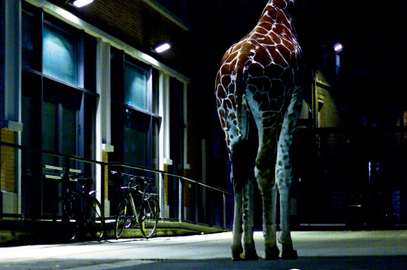 L'envers de la girafe, de Pascal Dessaint