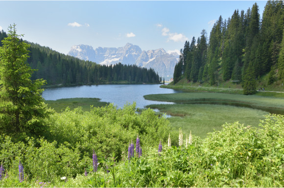 Lac de la Misurina, de Annie Régnier (Dolomites, Italie)